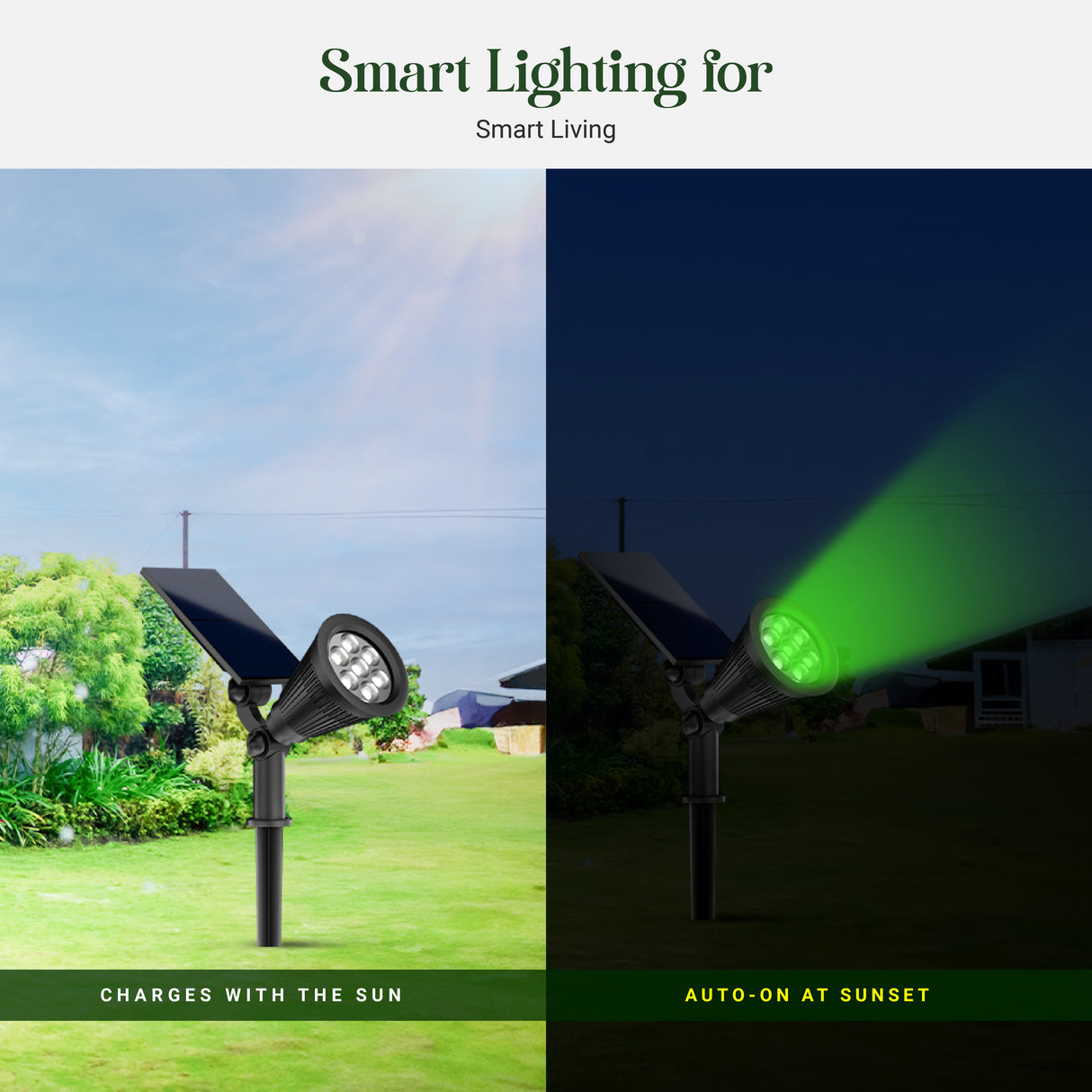 DYLECT Solar Eco RGB Landscape Spot Light (RGB)