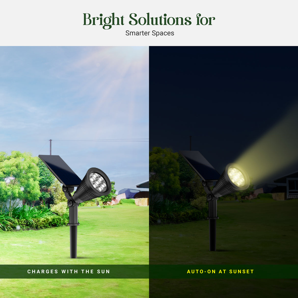 Dylect Eco Solar Landscape Spot Light (Warm White Light)