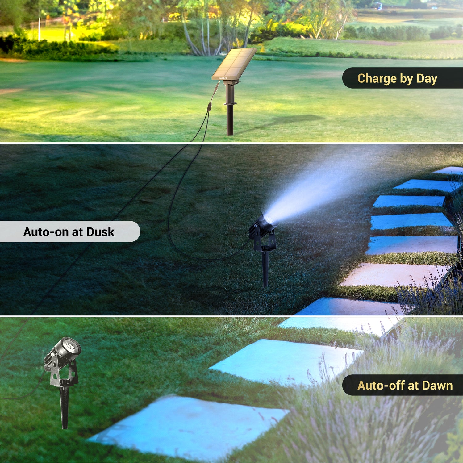 Dylect LUXE Solar Dual Head Spotlight