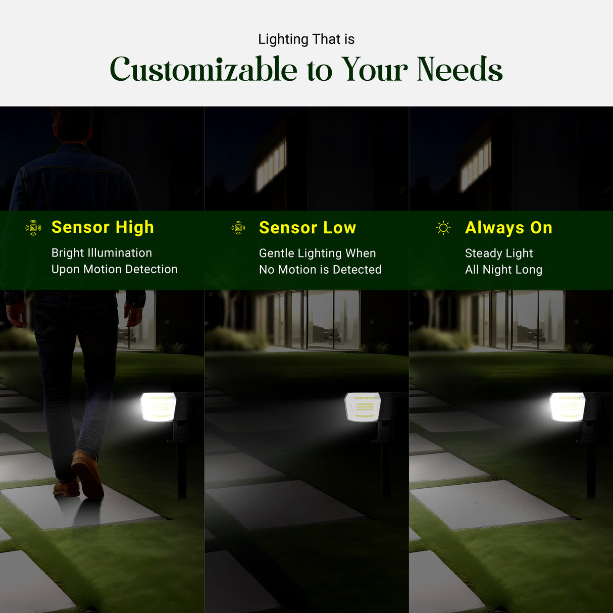 DYLECT Eco Solar Landscape Spot Light (BM)