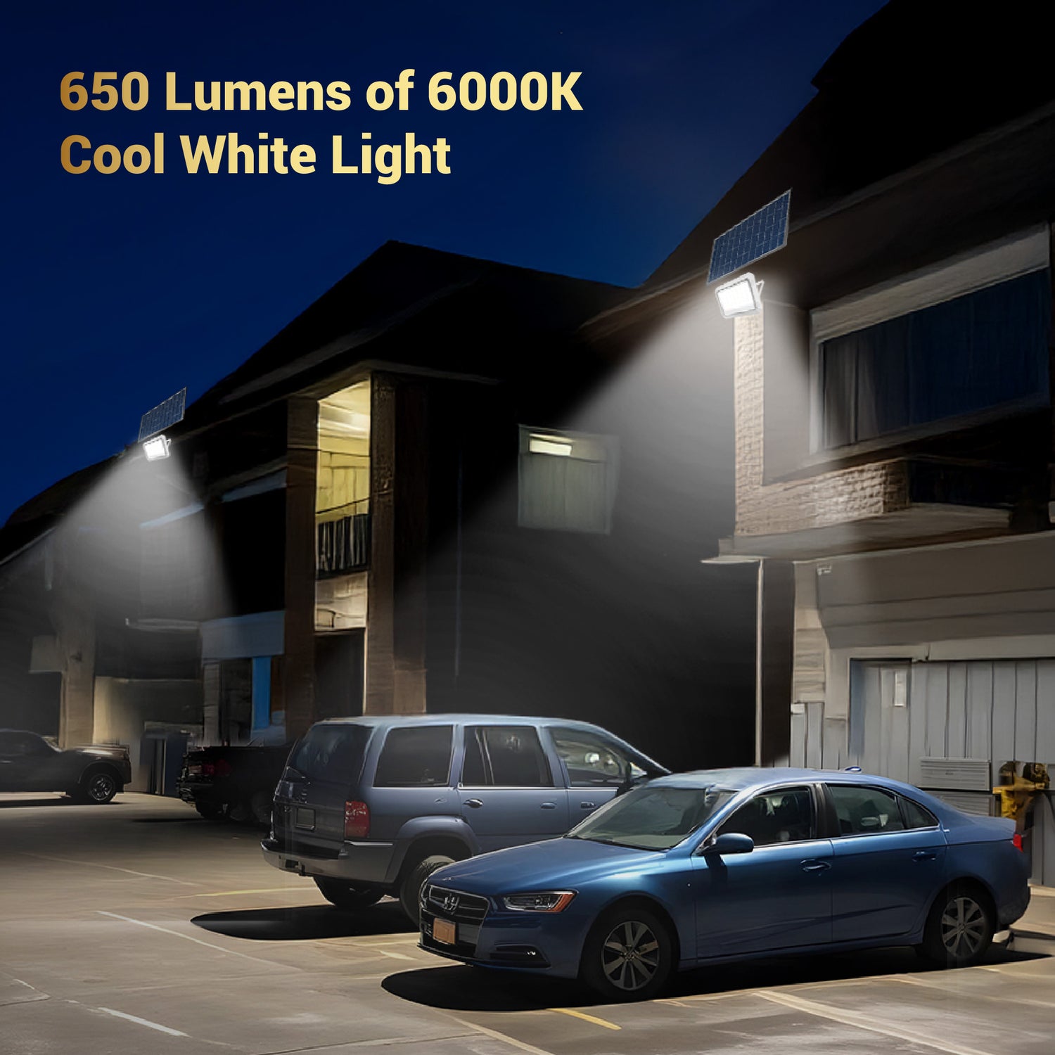 Dylect Luxe 60W Solar Flood Light