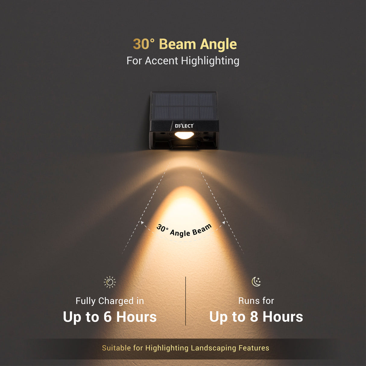 Dylect LUXE Solar Fence Downlight (1 LED)