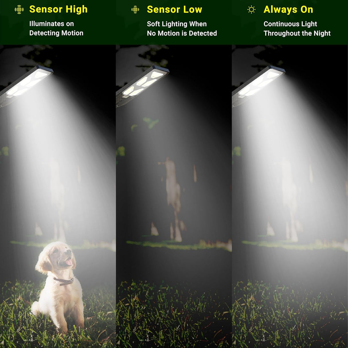 DYLECT 500W Solar Street Light with Motion Sensor