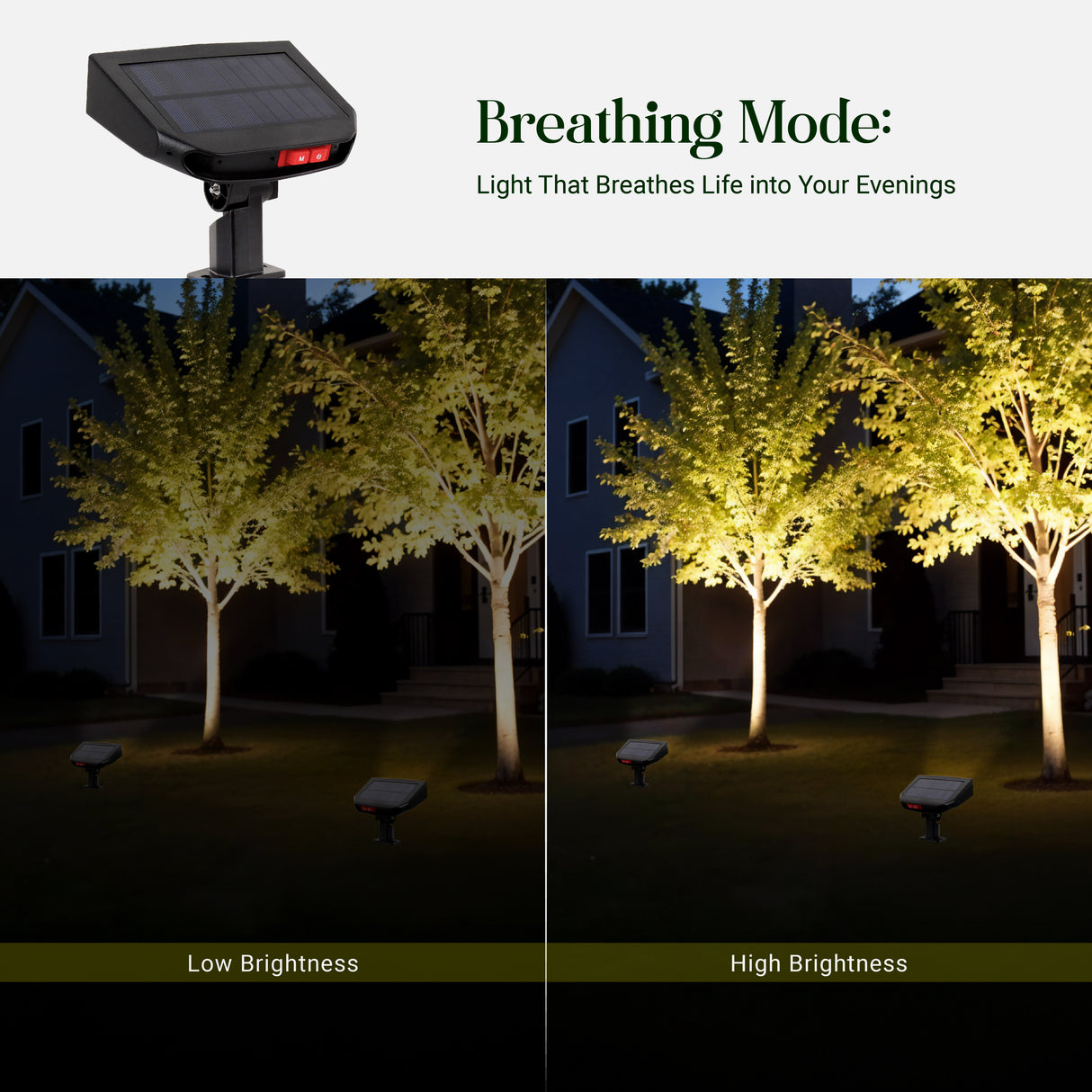 DYLECT Solar Eco Spot Light (BM)