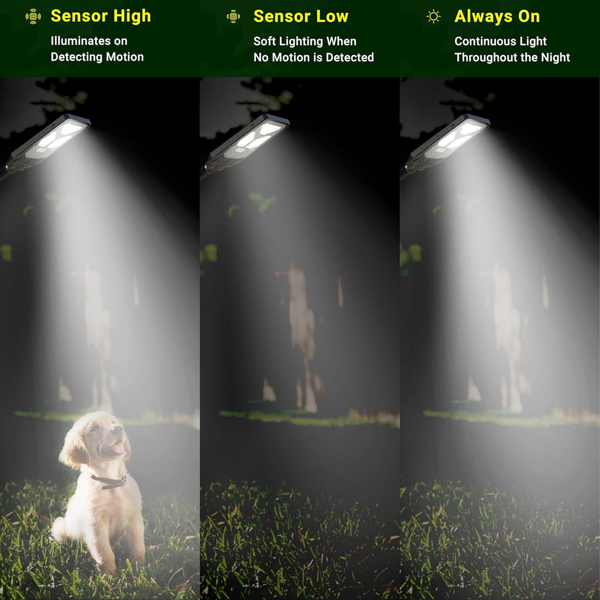 DYLECT 300W Solar Street Light with Motion Sensor