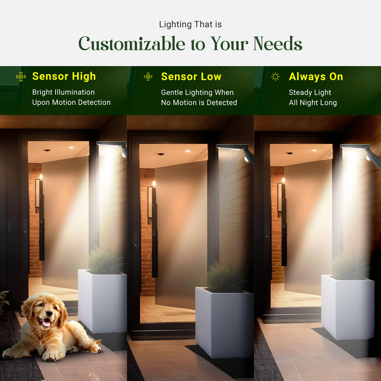 DYLECT Solar Modern Wall Sensor Light (S)