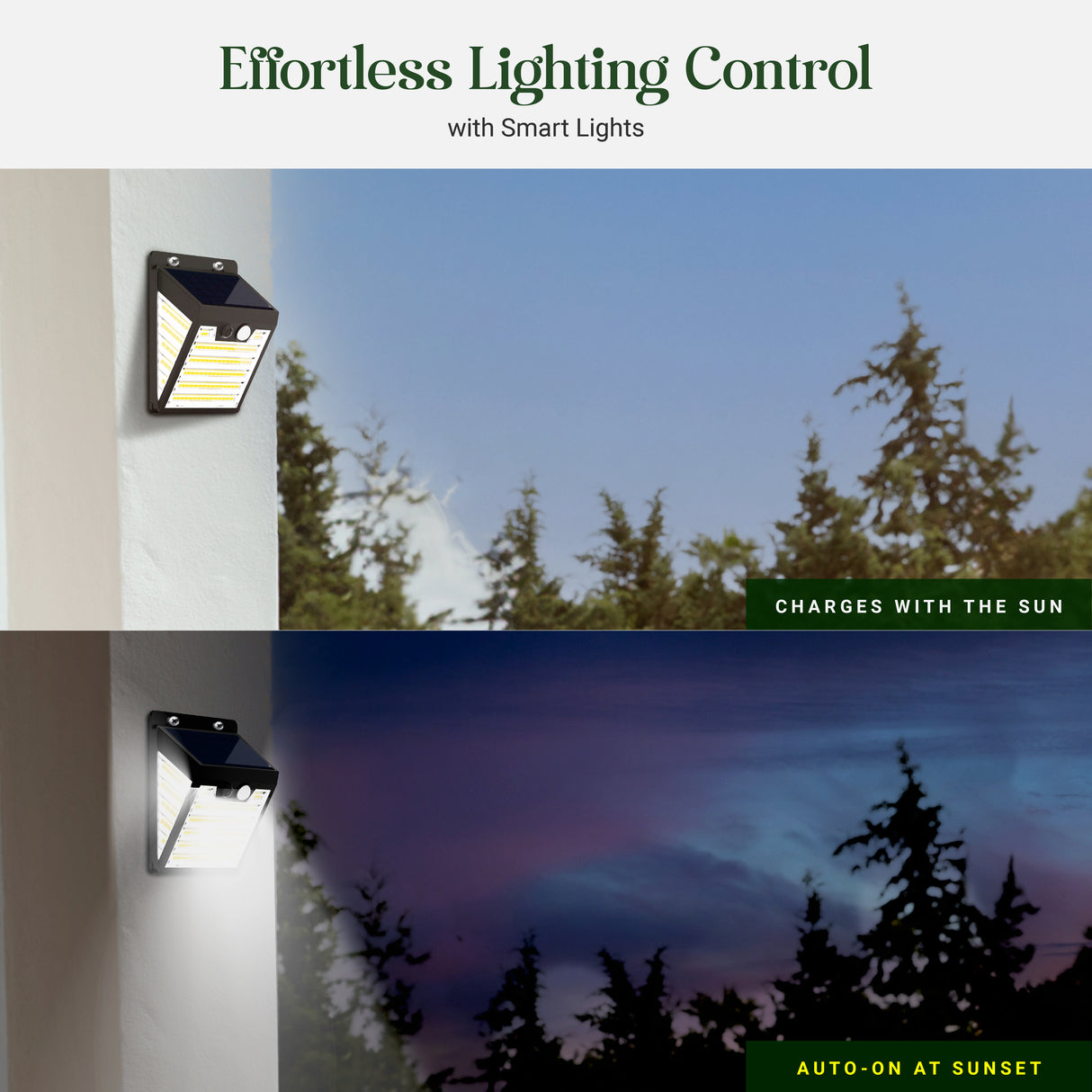 Dylect Eco Solar Wall Sensor Light – Front and Side Illumination (150 Lumen)