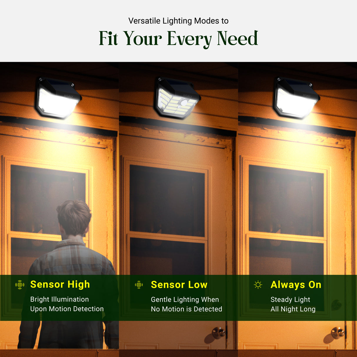 Dylect Eco Solar Wall Sensor Light – Front and Side Illumination (200 Lumen)