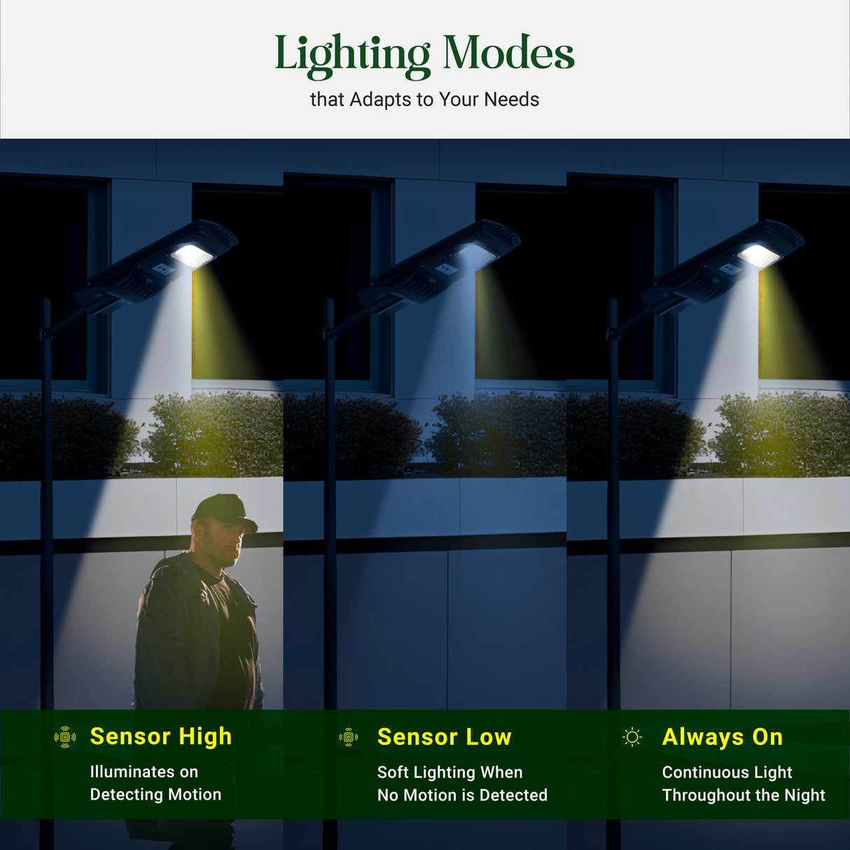 Dylect Eco Solar Integrated Street Light – 50W