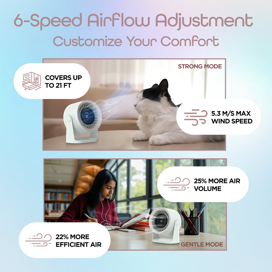 Dylect Briza Storm - Champagne Mist