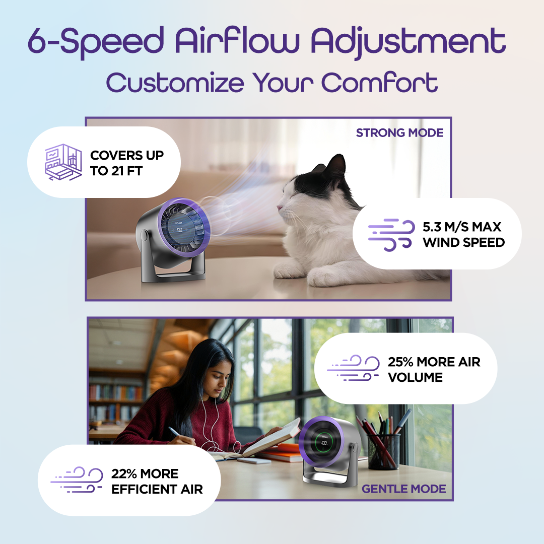 Dylect Briza Storm - Orchid Bloom