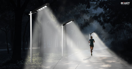 Solar motion sensor light