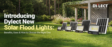 Introducing Dylect New Solar Flood Lights: Benefits, Uses & How to Choose the Right One