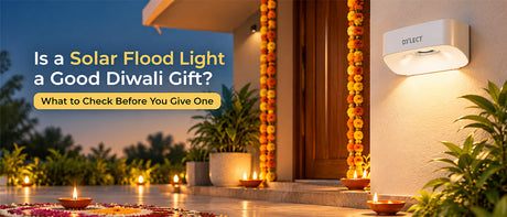 Solar Flood Light as a Diwali Light