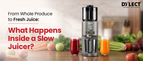 What Happens Inside a Slow Juicer