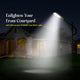 DYLECT 300W Solar Street Light with Motion Sensor