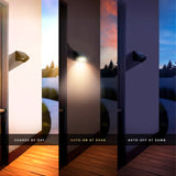 Dylect LUXE Solar Fence Downlight (1 LED)