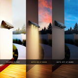 Dylect LUXE Solar Fence Downlight (3 LED)