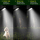 DYLECT 300W Solar Street Light with Motion Sensor