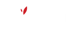 Dylect